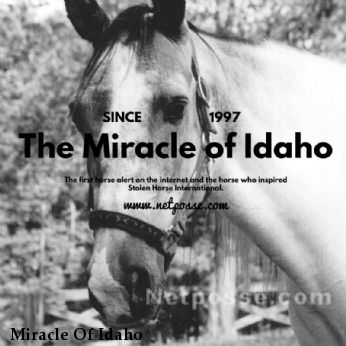 The Miracle Of Idaho
